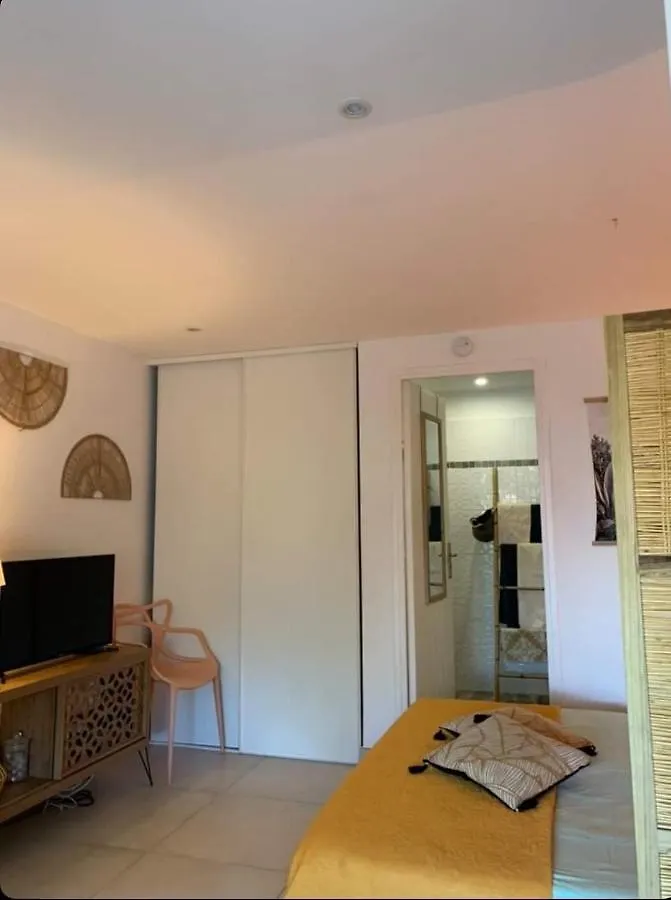 Studio Cosi, Jardin Prive, Vue Magique Depuis Piscine A Debordement De La Residence ル・ディアマン アパート