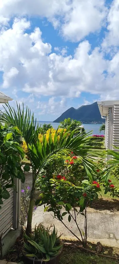 Studio Cosi, Jardin Prive, Vue Magique Depuis Piscine A Debordement De La Residence ル・ディアマン マルティニーク