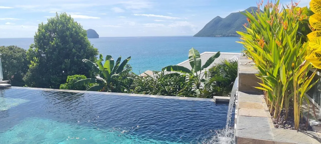 Studio Cosi, Jardin Prive, Vue Magique Depuis Piscine A Debordement De La Residence 勒迪亚芒